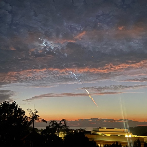 Meet your Posher, Scarlett - Picture 1 of 1